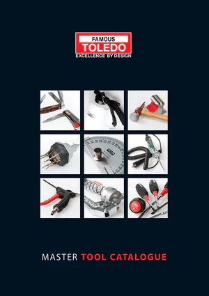 TOLEDO Master Catalogue